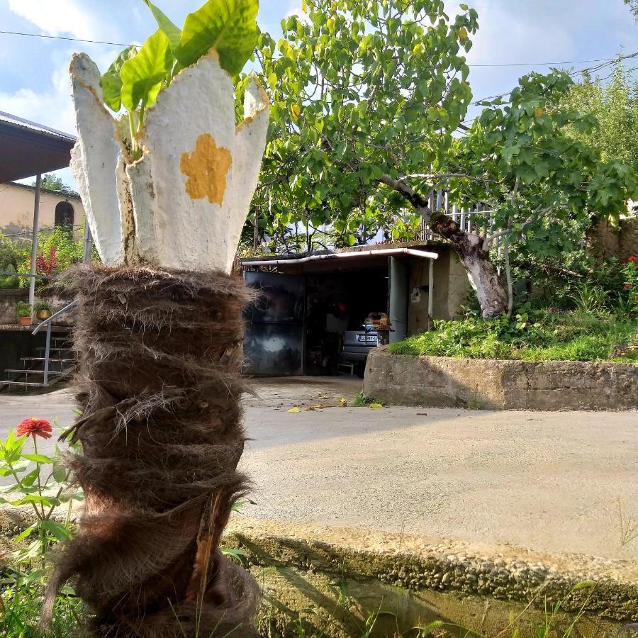 Magdan House Vila Tskaltubo Exterior foto